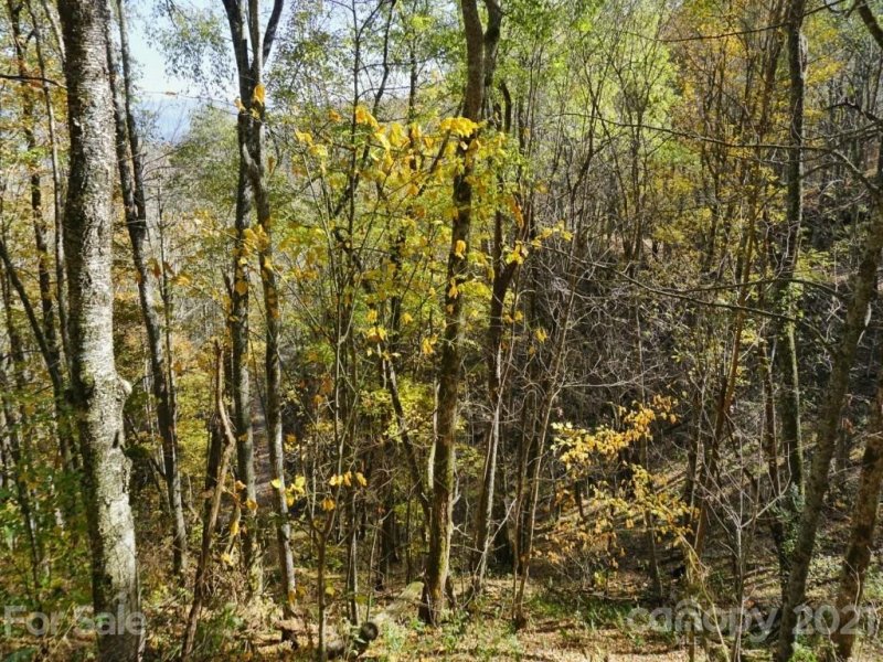 Property image 3 at A20 22 Big Laurel Road, Waynesville, NC 28785