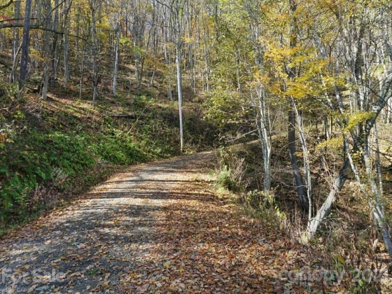 Property image 4 at A20 22 Big Laurel Road, Waynesville, NC 28785