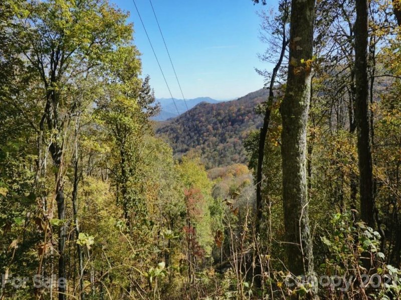 Property image 5 at A20 22 Big Laurel Road, Waynesville, NC 28785