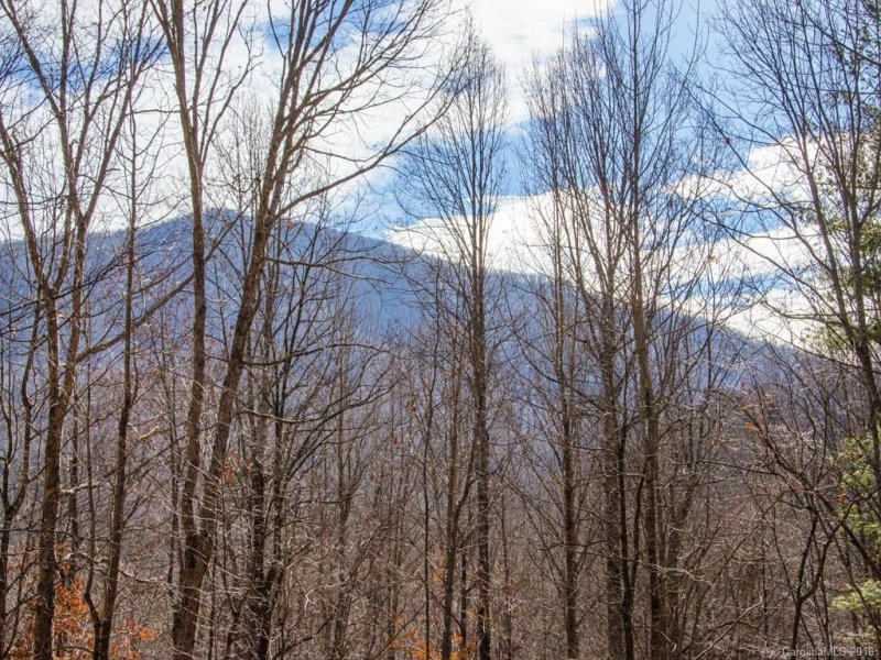 Property image 2 at 369 Fern Trail, Waynesville, NC 28786