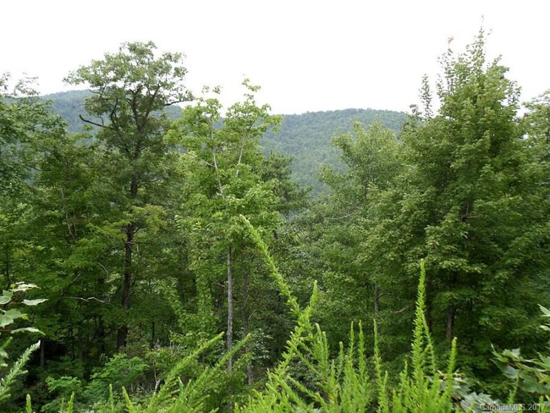 Property image 3 at 2577 Catawba Falls Parkway, Old Fort, NC 28762