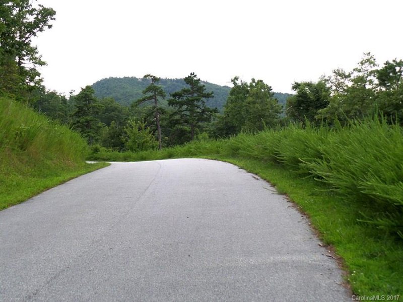 Property image 4 at 2577 Catawba Falls Parkway, Old Fort, NC 28762