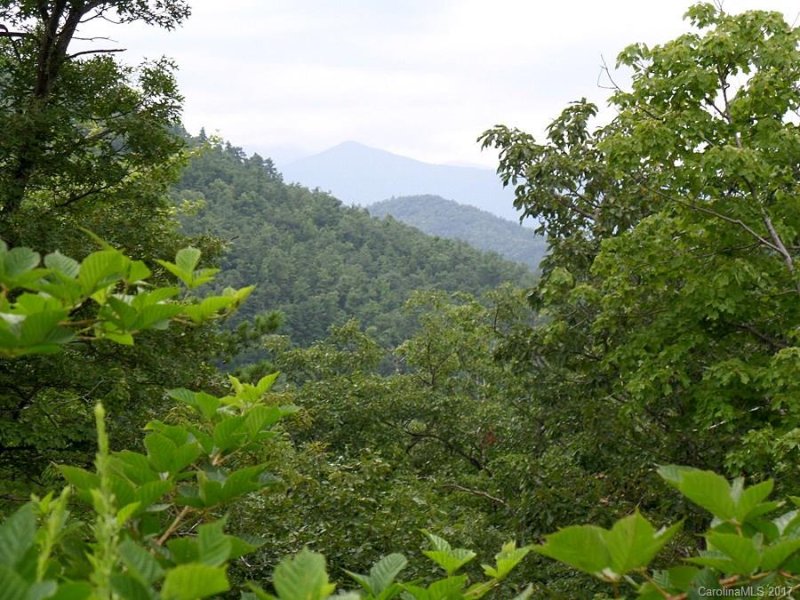 Property image 5 at 2577 Catawba Falls Parkway, Old Fort, NC 28762