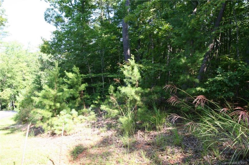 Property image 2 at Lot 4 Lot 5 Settlers Trail, Mars Hill, NC 28754