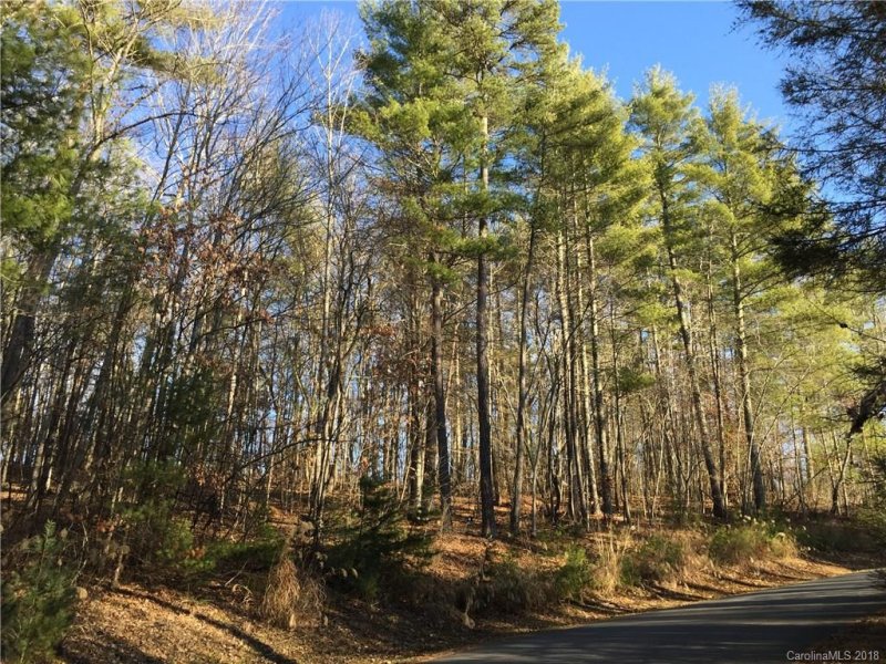 Property image 3 at Lot 4 Lot 5 Settlers Trail, Mars Hill, NC 28754