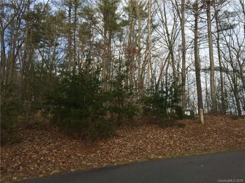 Property image 4 at Lot 4 Lot 5 Settlers Trail, Mars Hill, NC 28754