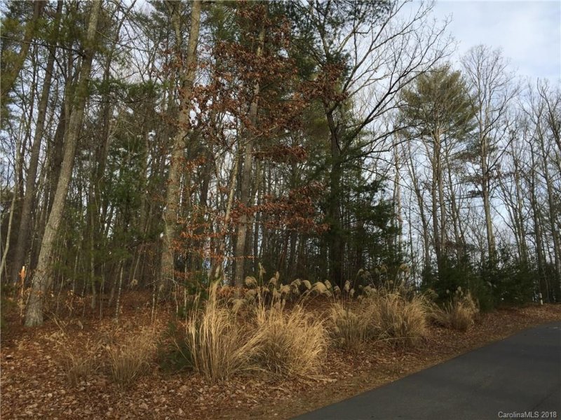 Property image 5 at Lot 4 Lot 5 Settlers Trail, Mars Hill, NC 28754