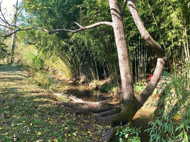 Property image 3 at 10 Stuart Circle, Asheville, NC 28804