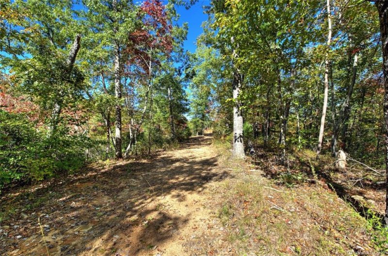 Property image 4 at 184 Rock Ridge, Lake Lure, NC 28746