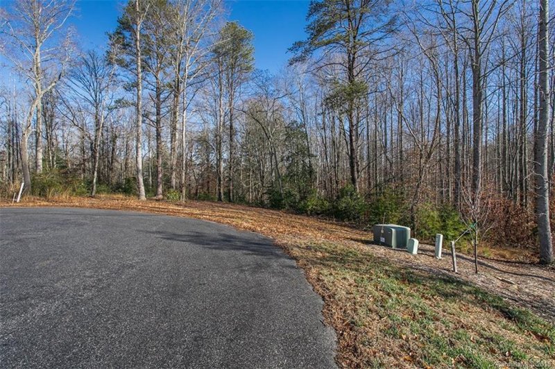 Property image 2 at 290 Majestic View Court, Hendersonville, NC 28791