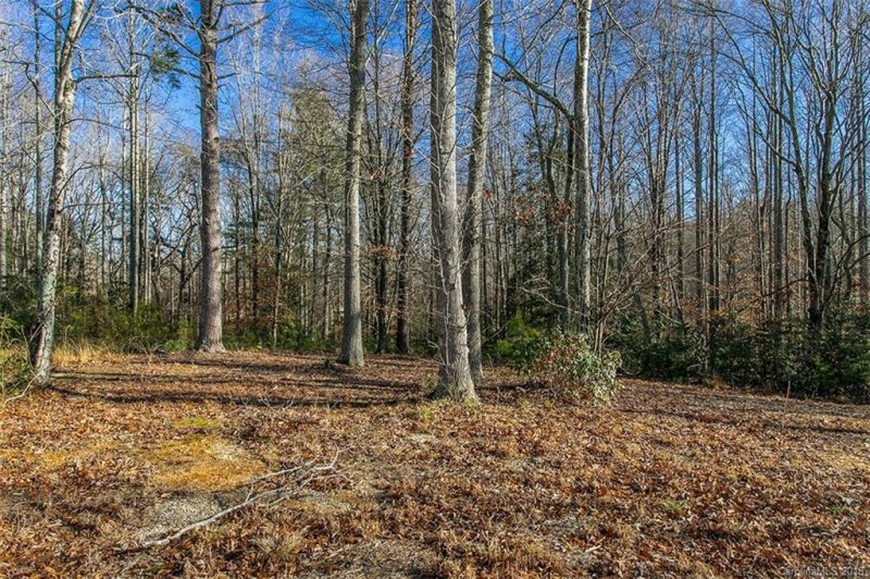 Property image 3 at 290 Majestic View Court, Hendersonville, NC 28791