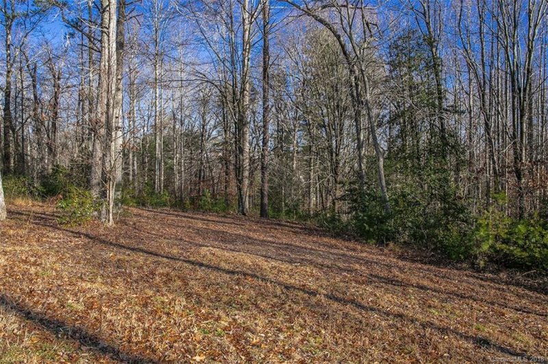 Property image 4 at 290 Majestic View Court, Hendersonville, NC 28791