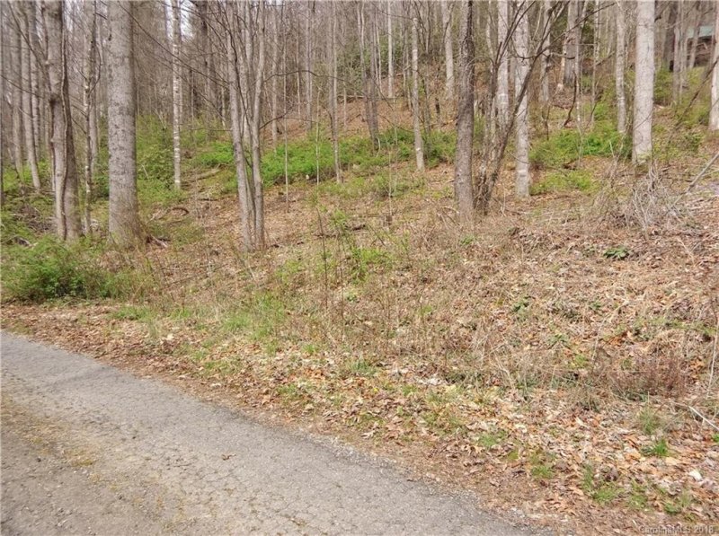 Property image 2 at 21 Laurel Branch Road, Maggie Valley, NC 28751