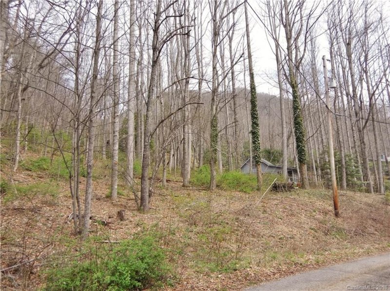 Property image 3 at 21 Laurel Branch Road, Maggie Valley, NC 28751