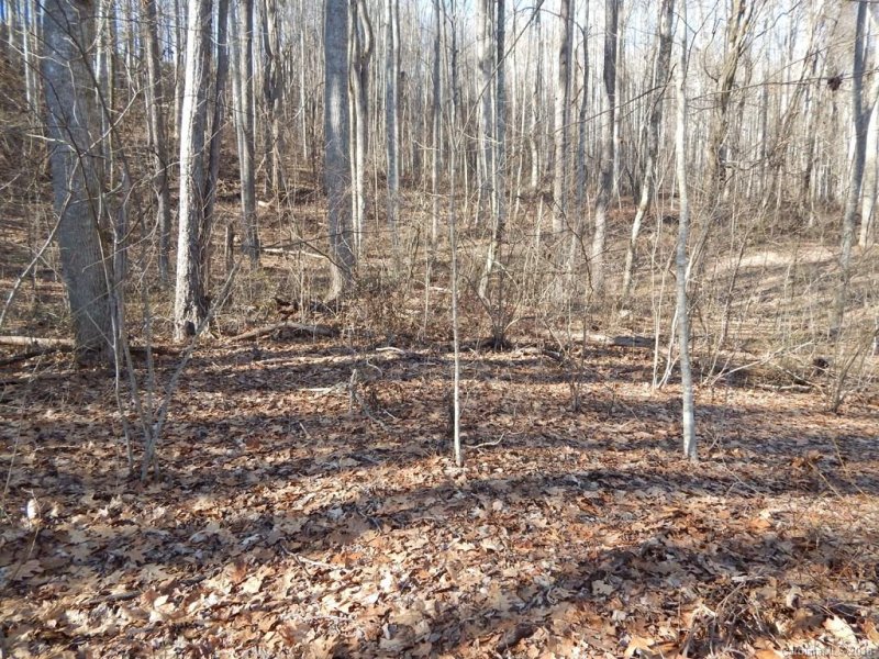 Property image 2 at Lot 44 Fern Trail, Waynesville, NC 28786