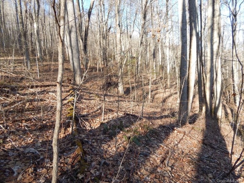 Property image 4 at Lot 44 Fern Trail, Waynesville, NC 28786