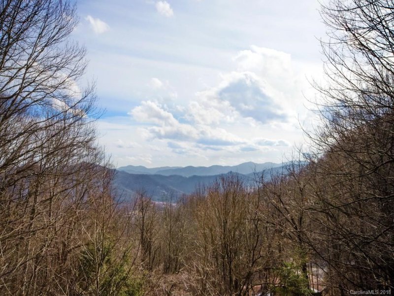 Property image 3 at 99 Shagbark Lane, Waynesville, NC 28785