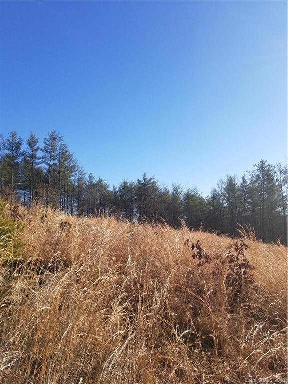 Property image 3 at Lot 50 Forest Creek Drive, Collettsville, NC 28611