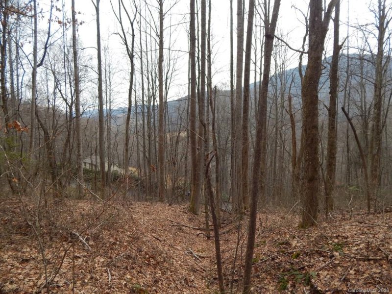Property image 3 at Lot 45 Fern Trail, Waynesville, NC 28786