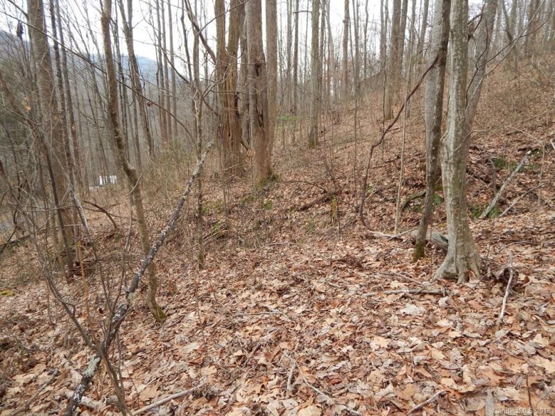 Property image 5 at Lot 45 Fern Trail, Waynesville, NC 28786
