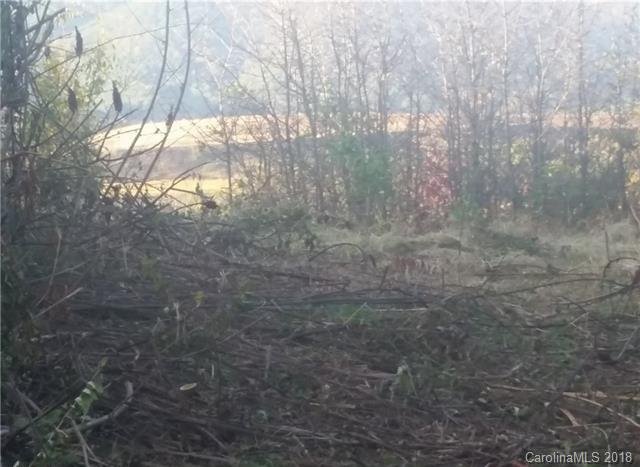 Property image 2 at 9 Foothills Cove, Clyde, NC 28721