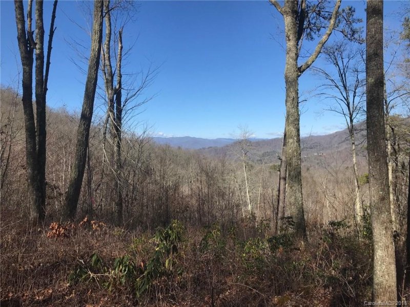 Property image 2 at 99999 Pretty Precious Lane, Whittier, NC 28789