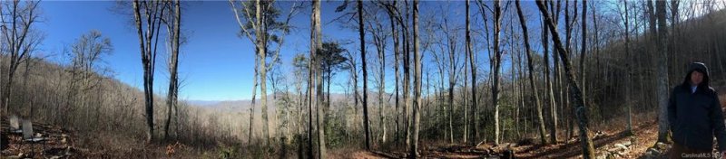 Property image 4 at 99999 Pretty Precious Lane, Whittier, NC 28789