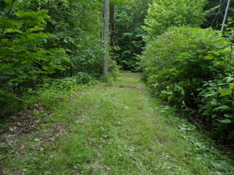 Property image 4 at 0 Big Laurel Road, Waynesville, NC 28785