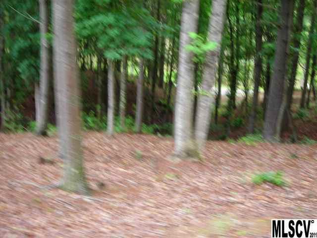Property image 3 at 5672 Fletcher Mountain Lane, Collettsville, NC 28611