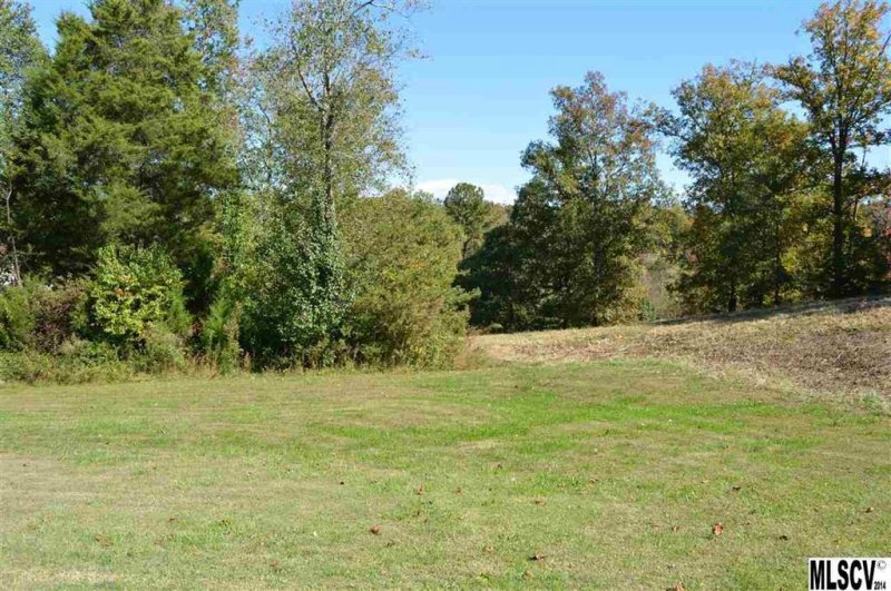 Property image 2 at V L Franklin Lane, Taylorsville, NC 28681