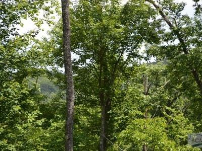 Property image 4 at 7711 Parks Mountain Drive, Newland, NC 28657
