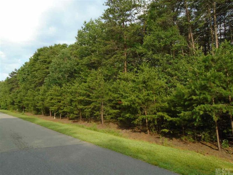 Property image 4 of 1684 Parkside Drive in Long Bay, Catawba, NC 28609