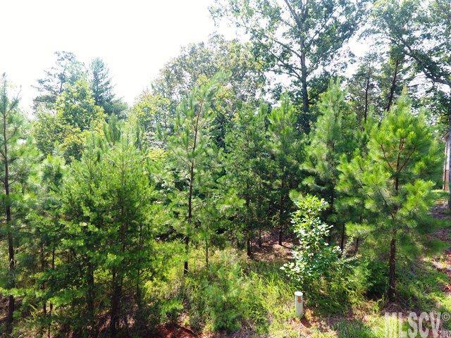 Property image 4 at 5805 Kaylee Ann Drive, Granite Falls, NC 28630