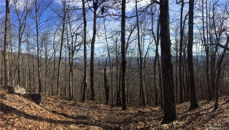 Property image 2 at 95 Bobcat Lair Drive, Mills River, NC 28759