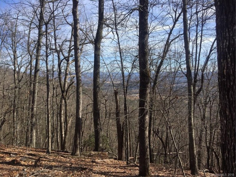 Property image 3 at 95 Bobcat Lair Drive, Mills River, NC 28759