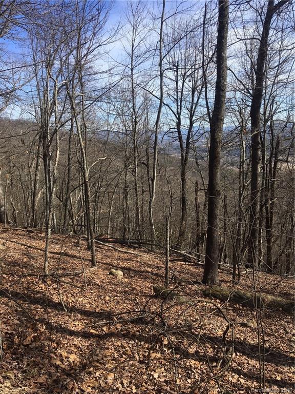 Property image 4 at 95 Bobcat Lair Drive, Mills River, NC 28759