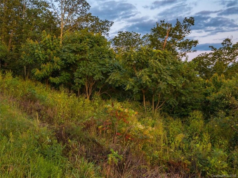 Property image 4 at 3 Carolina Sunset Pass, Asheville, NC 28804