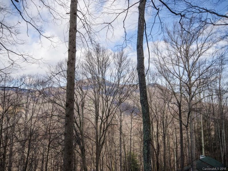 Property image 3 at 468 Forest Drive, Maggie Valley, NC 28751