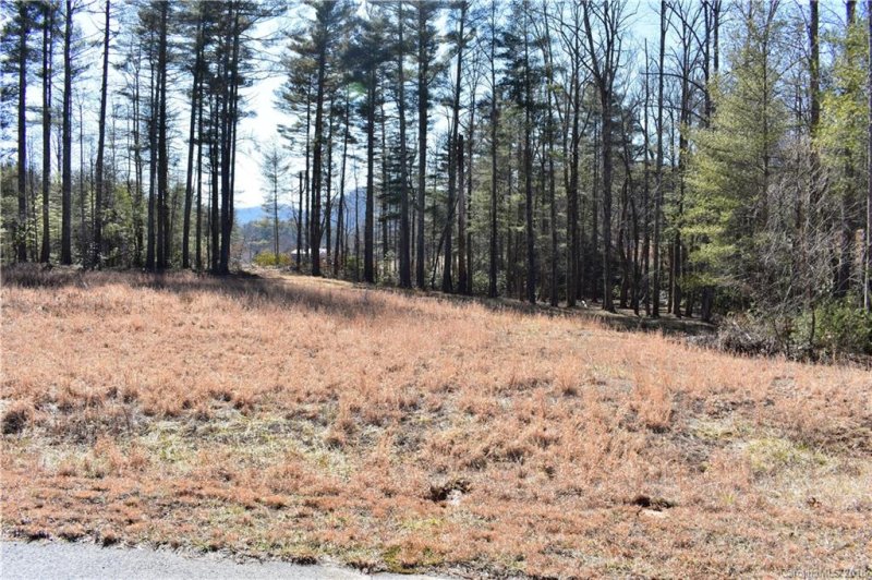 Property image 3 at 70 Crystal Mountain Drive, Hendersonville, NC 28739