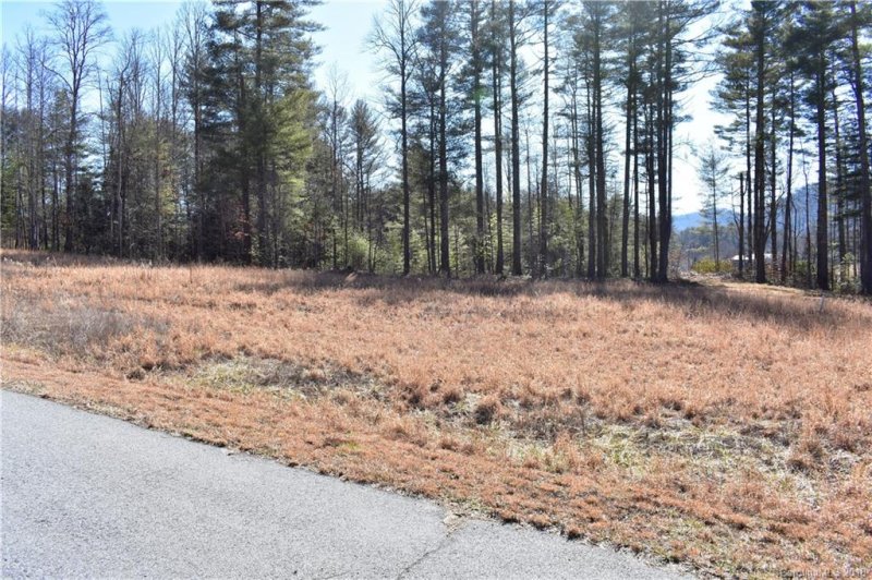 Property image 4 at 70 Crystal Mountain Drive, Hendersonville, NC 28739