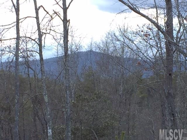 Property image 3 at 000 John Wilson Lane, Lenoir, NC 28645