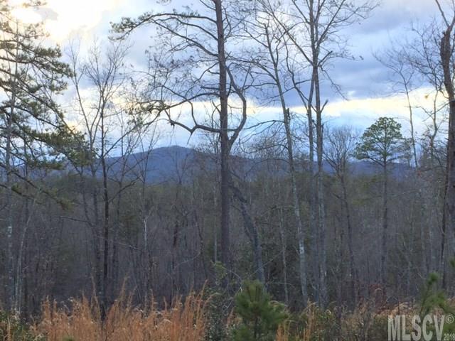 Property image 4 at 000 John Wilson Lane, Lenoir, NC 28645