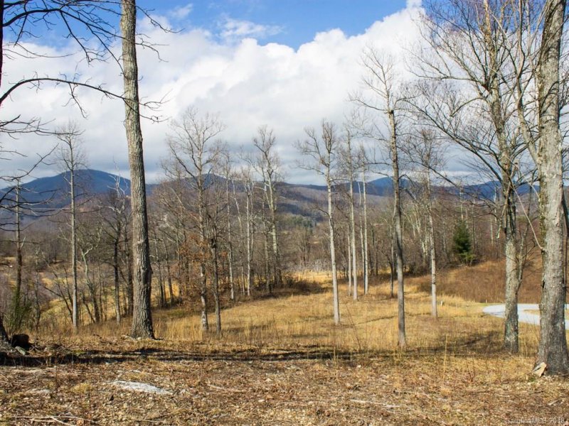 Property image 4 at 72 Silverglen Way, Hendersonville, NC 28792