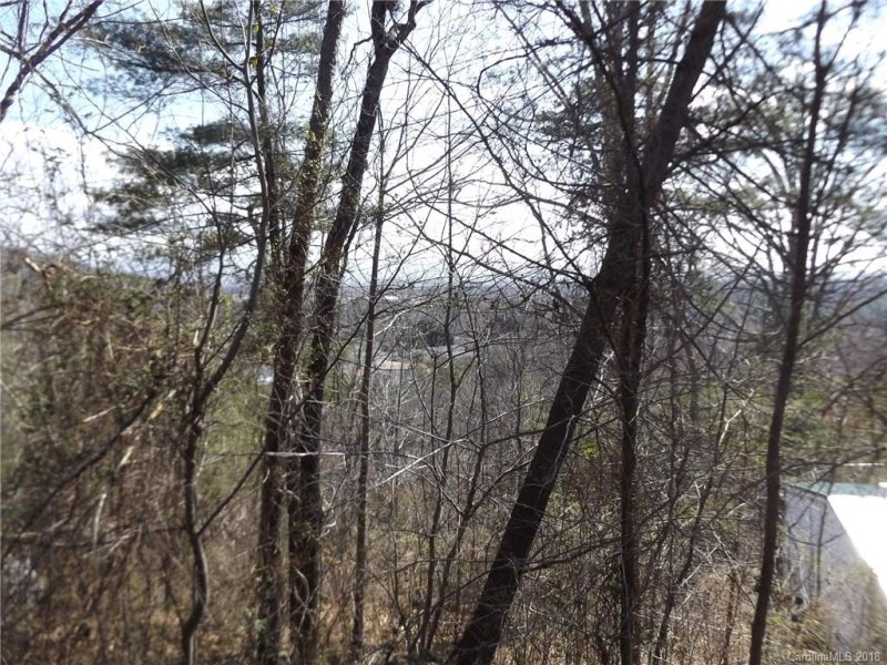 Property image 3 at 227 Magnolia Way, Asheville, NC 28806