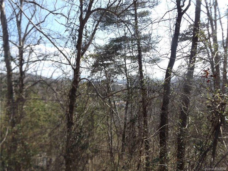 Property image 4 at 227 Magnolia Way, Asheville, NC 28806