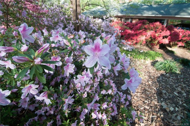 Property image 3 at 7214 Ridge Lane Road, Charlotte, NC 28262