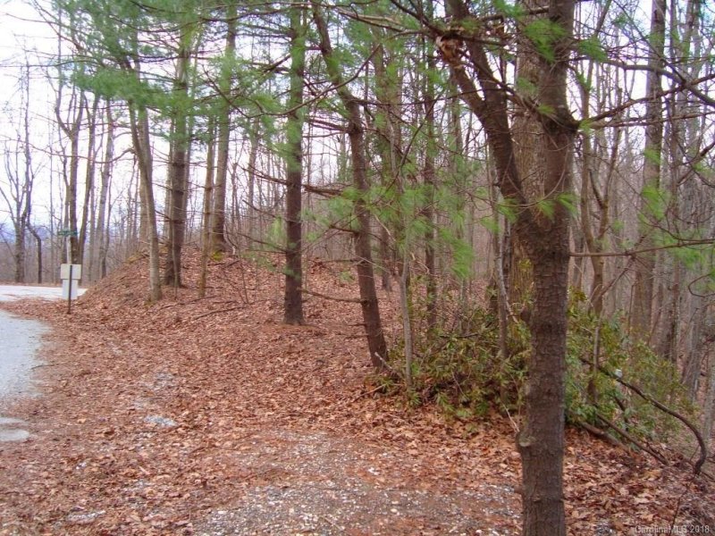 Property image 3 at 0 Mountain Lakes Drive, Tryon, NC 28782