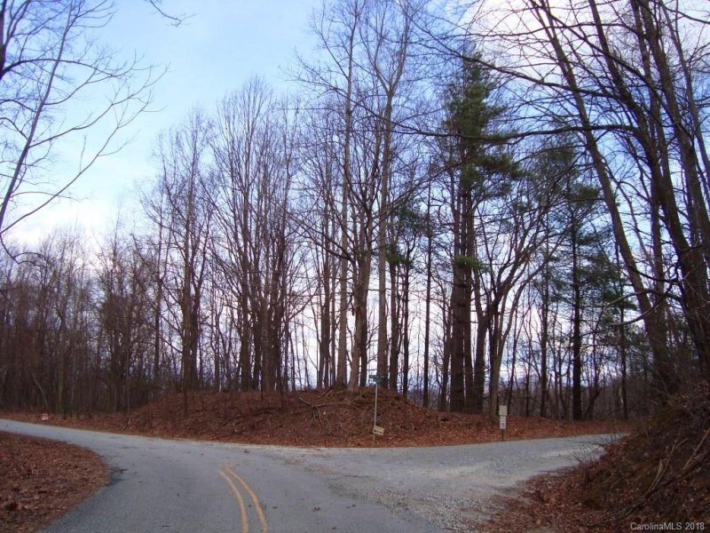 Property image 5 at 0 Mountain Lakes Drive, Tryon, NC 28782