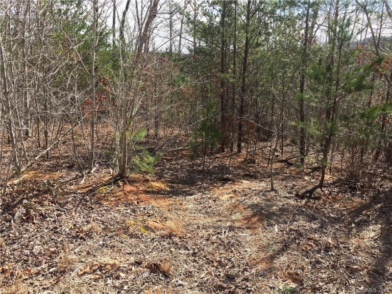 Property image 3 at 0 Bear Cliff Way, Lake Lure, NC 28746