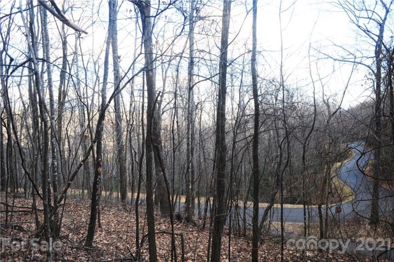 Property image 2 at 54 Great Aspen Way, Black Mountain, NC 28711